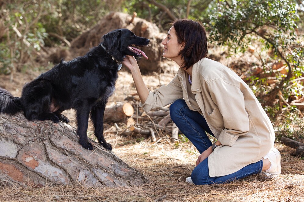 dog-trainer-interacting understanding-rottweiler-temperament
